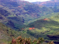 2003/05(May)/03(Hawaii)/Waimea Canyon/2003-05-18-01-Canyon.JPG